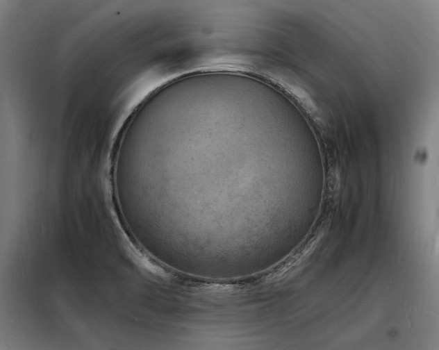X0000098181470200804241210