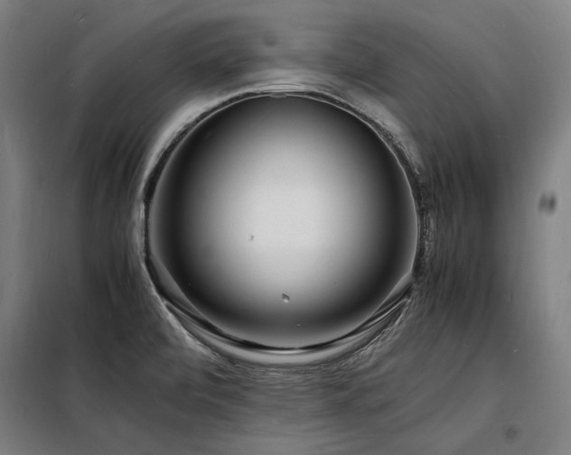 X0000098181472200804241210