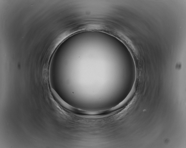 X0000098181473200804241210