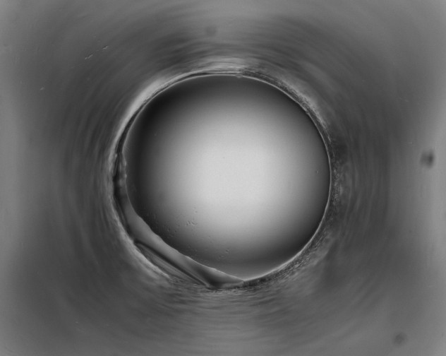 X0000098181475200804241210
