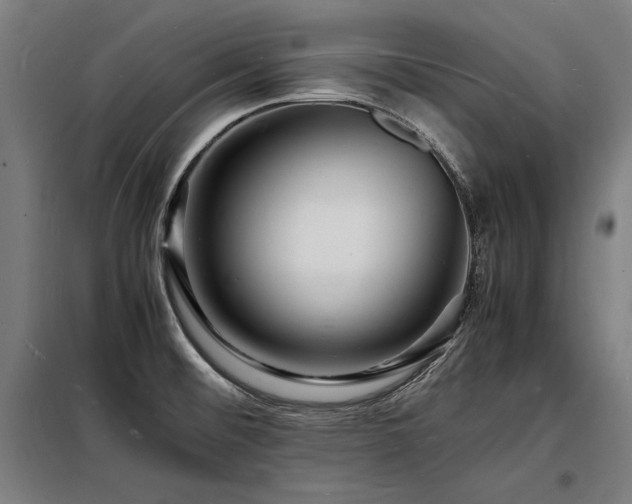 X0000098181476200804241210