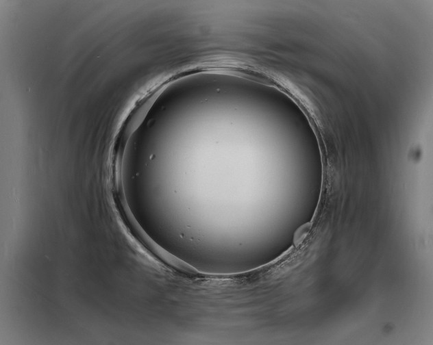 X0000098181477200804241210