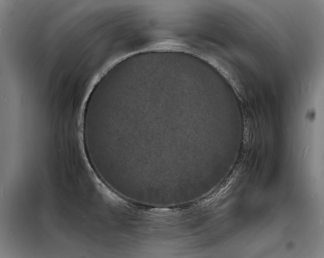 X0000098181478200804241210
