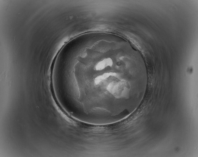 X0000098181479200804241210