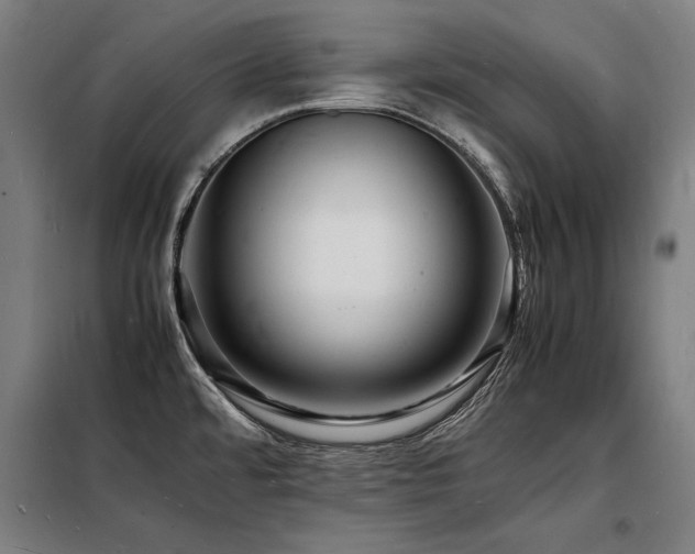 X0000098181480200804241210