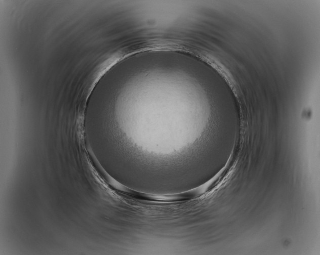 X0000098181481200804241210