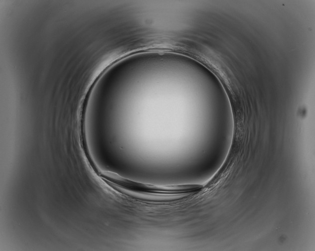 X0000098181483200804241210