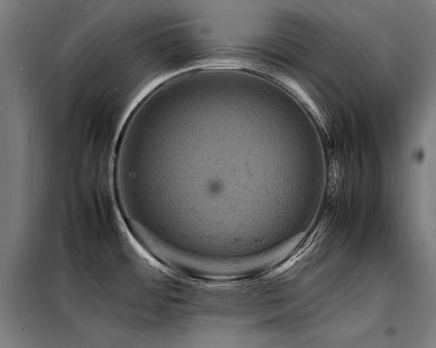 X0000098181484200804241210