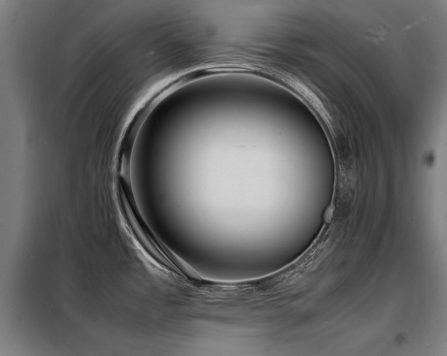 X0000098181485200804241210