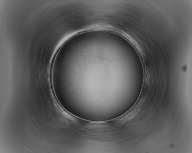 X0000098181486200804241210