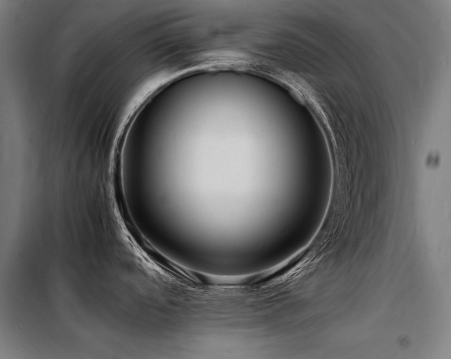 X0000098181488200804241210