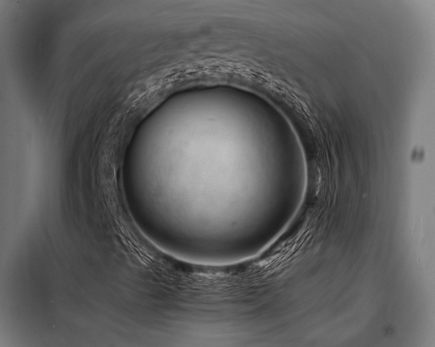 X0000098181489200804241209