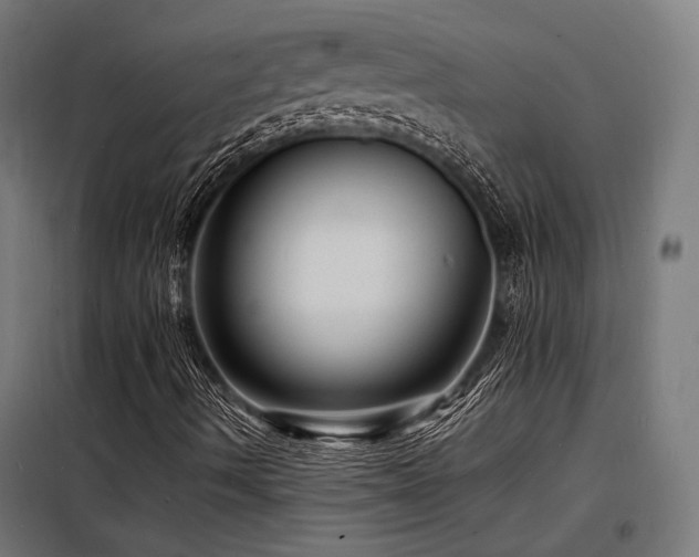 X0000098181490200804241209