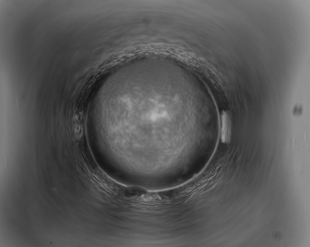 X0000098181491200804241209