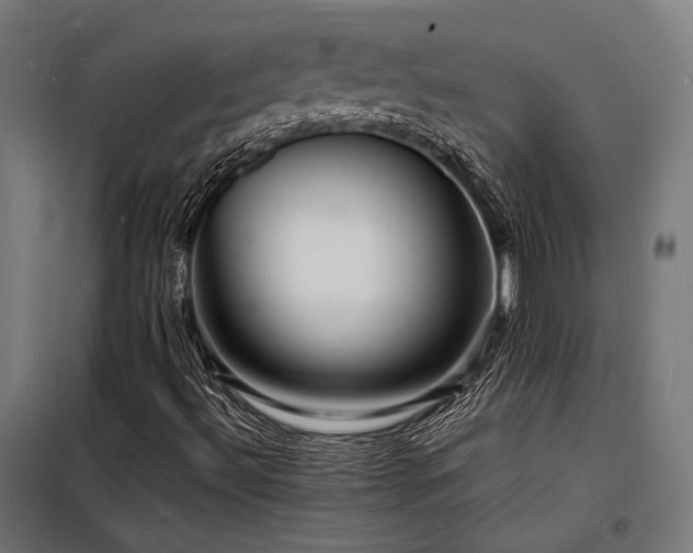 X0000098181492200804241209