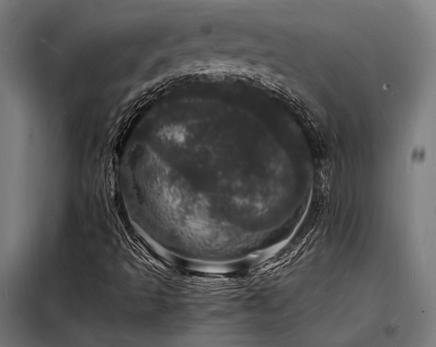 X0000098181493200804241209