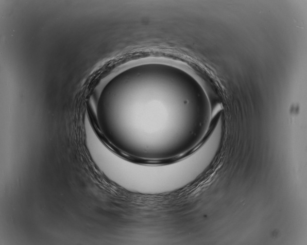 X0000098181494200804241209