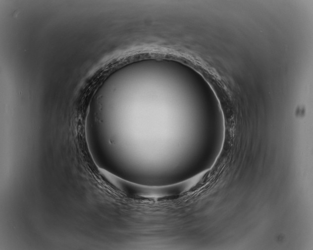X0000098181495200804241209