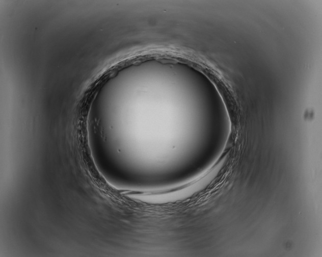 X0000098181496200804241209