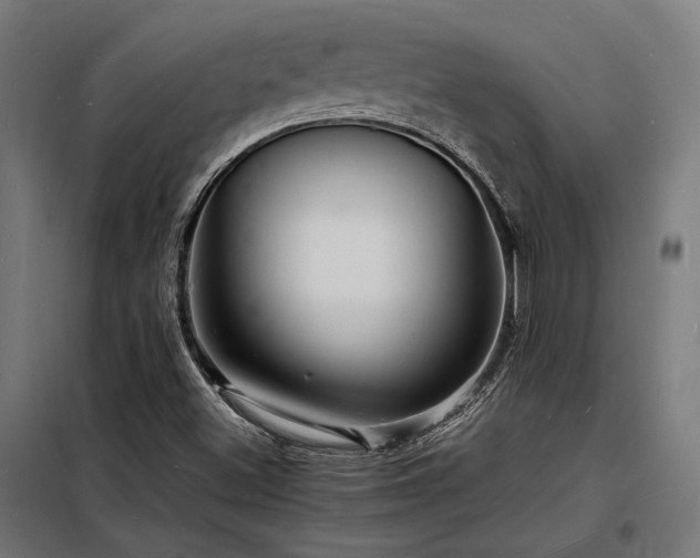 X0000098181500200804241209