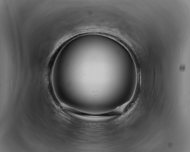 X0000098181501200804241209