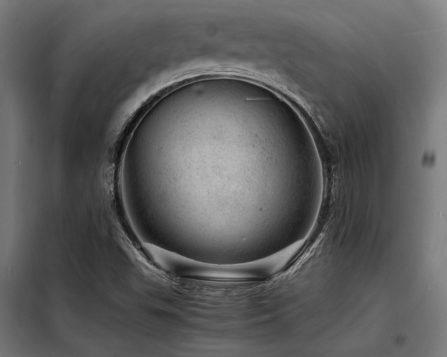 X0000098181503200804241209
