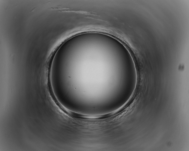 X0000098181504200804241210
