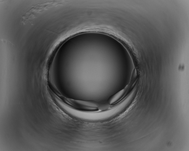 X0000098181506200804241210