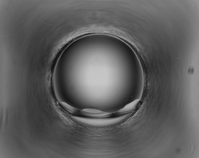 X0000098181507200804241210