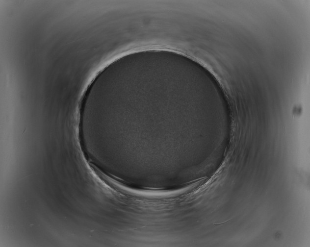 X0000098181508200804241210
