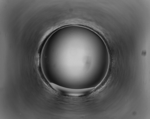 X0000098181509200804241210