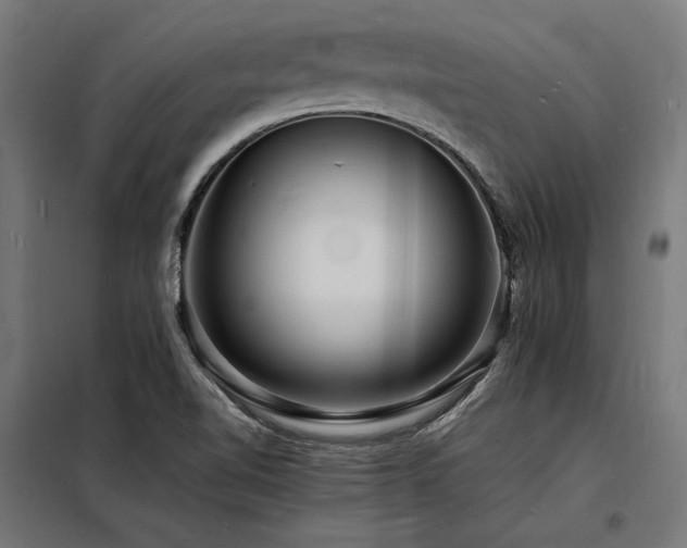 X0000098181510200804241210