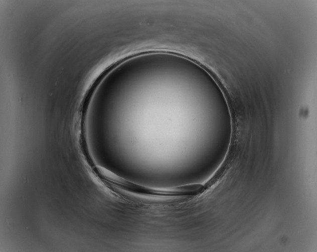 X0000098181511200804241210