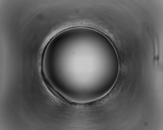 X0000098181512200804241210