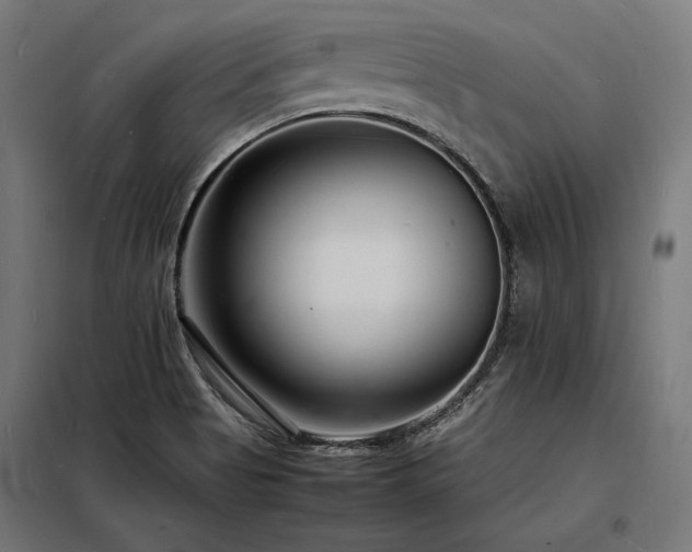 X0000098181513200804241210