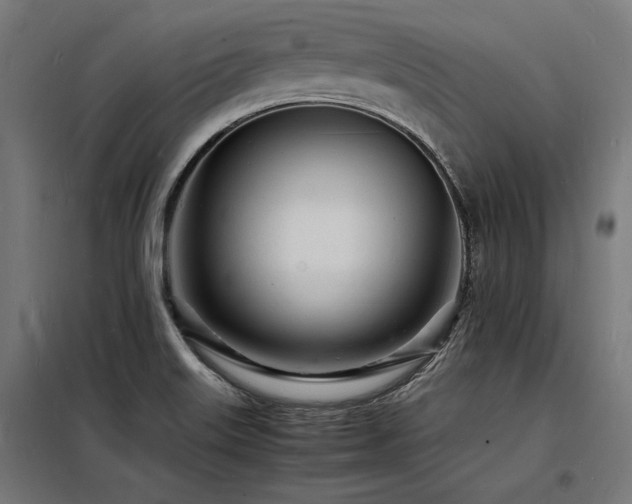 X0000098181515200804241210