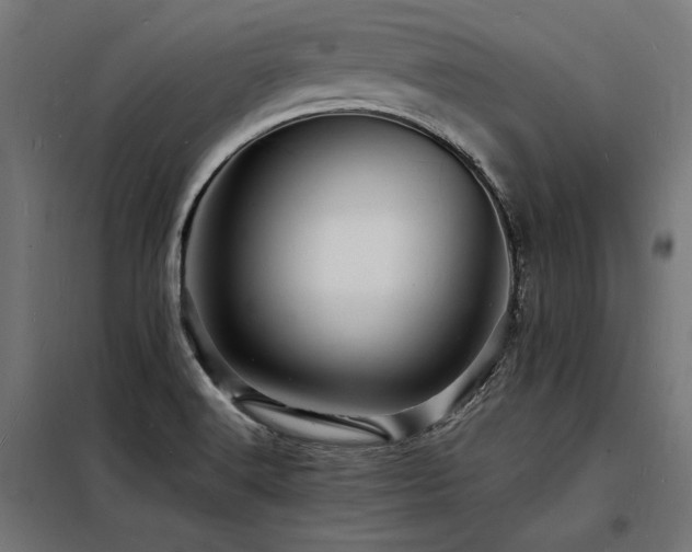 X0000098181516200804241210