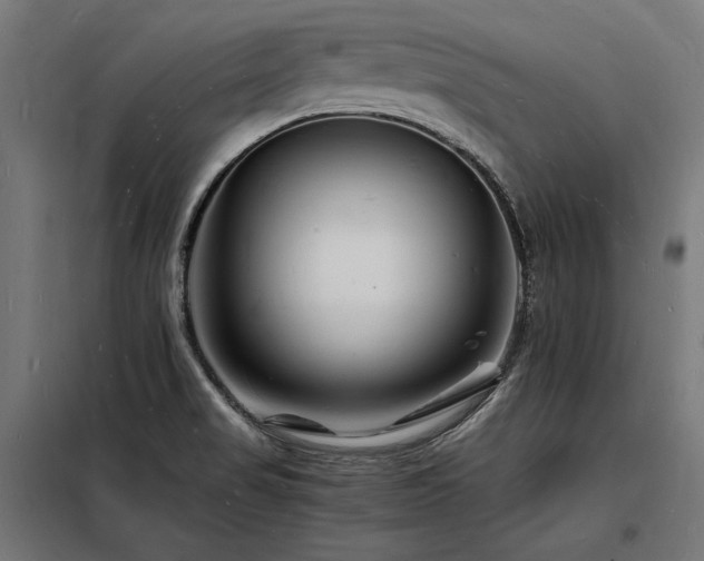 X0000098181517200804241210