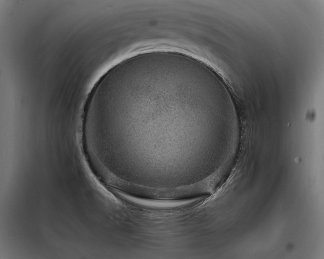 X0000098181518200804241210