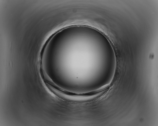 X0000098181519200804241210