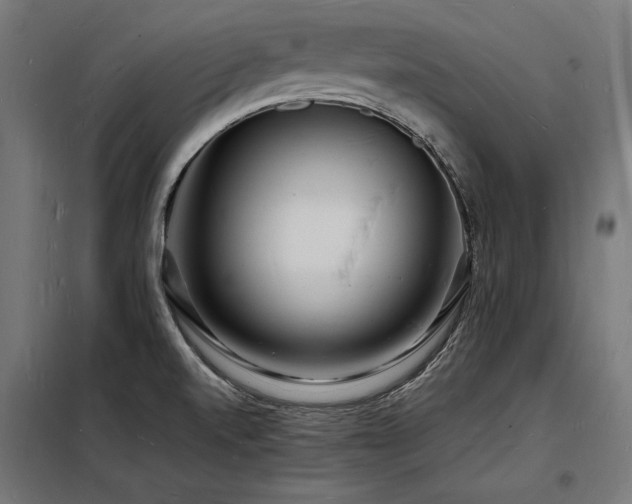 X0000098181520200804241210