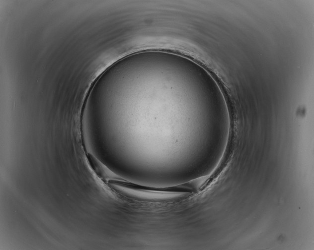 X0000098181521200804241210