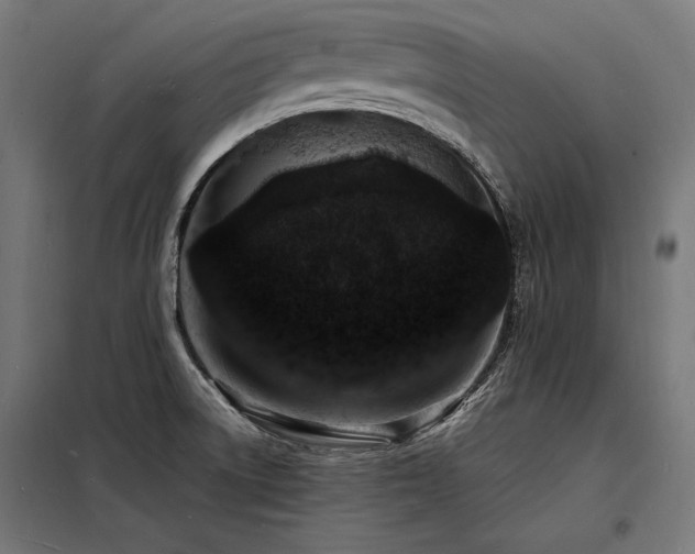 X0000098181522200804241210