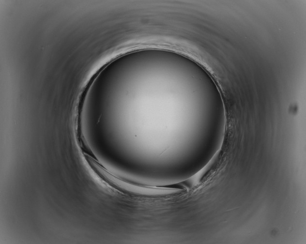 X0000098181523200804241210