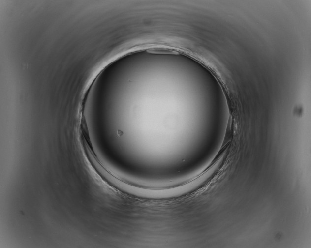 X0000098181524200804241210