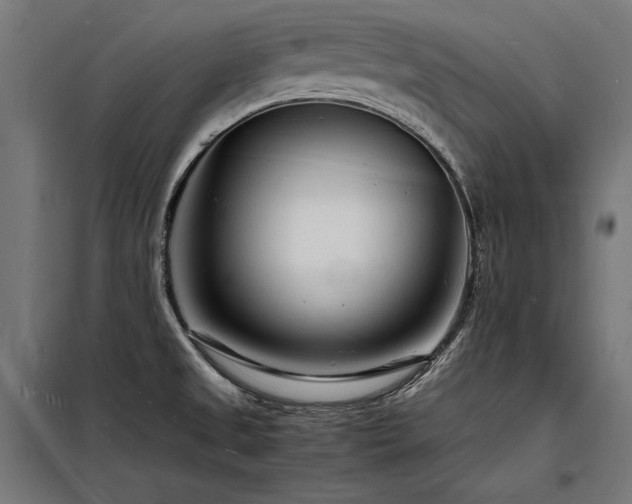 X0000098181525200804241210