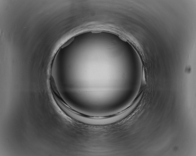 X0000098181528200804241210