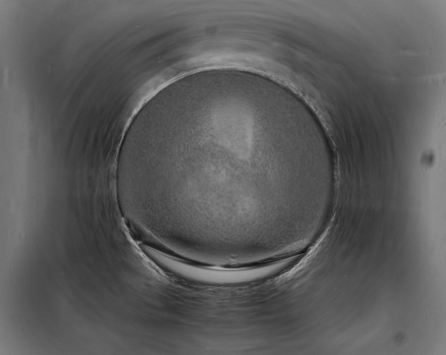 X0000098181529200804241210
