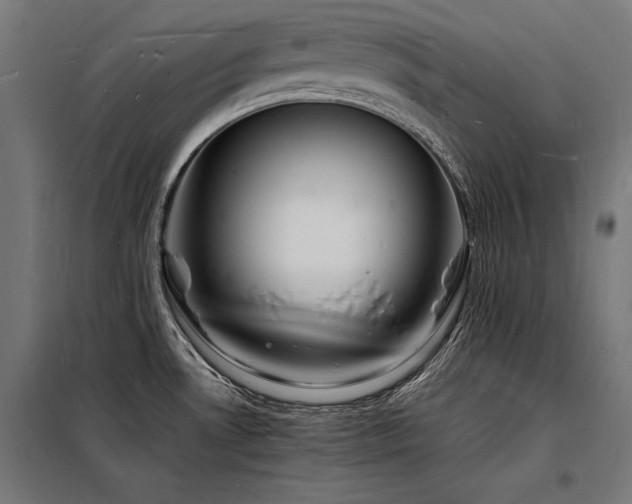 X0000098181530200804241210
