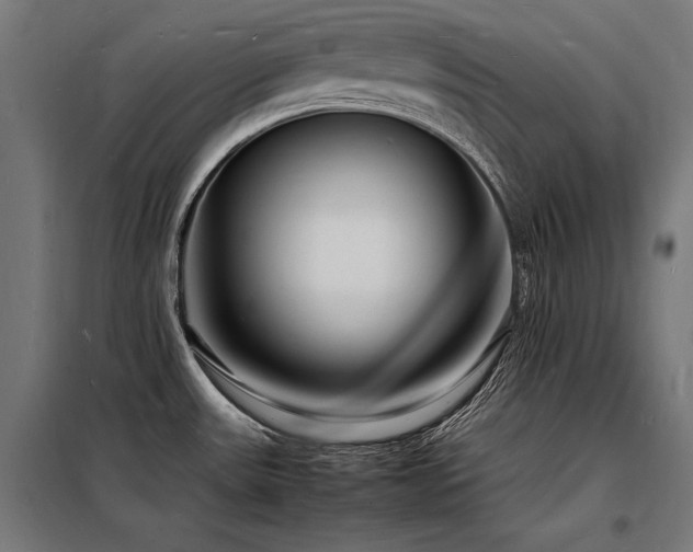 X0000098181531200804241210